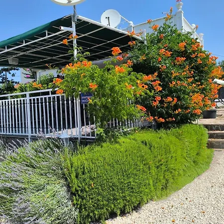 Appartamento Snjezana Marina